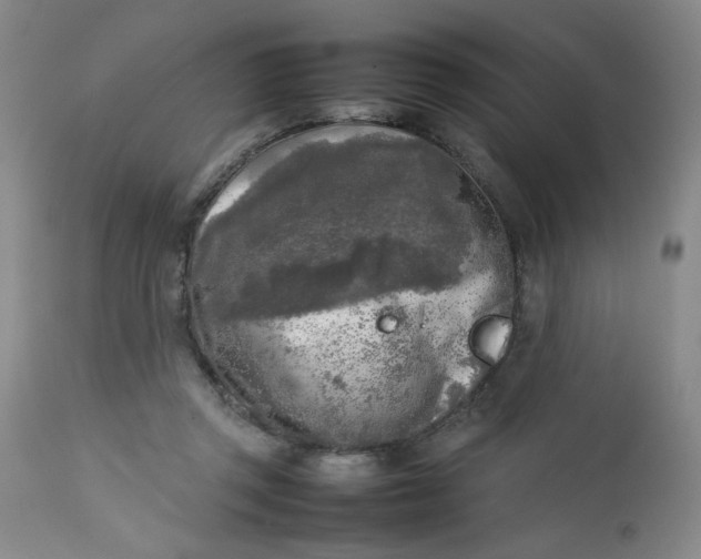 X0000112730357200909101457