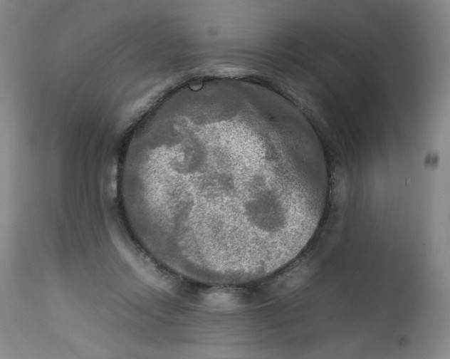 X0000112730358200909101457