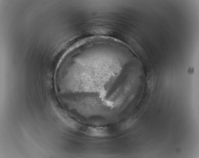 X0000112730359200909101457