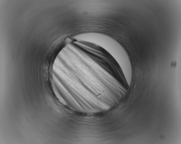 X0000112730360200909101457