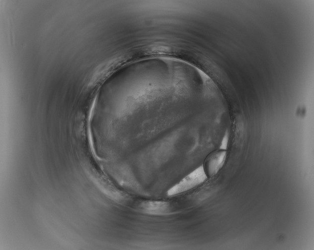 X0000112730361200909101457