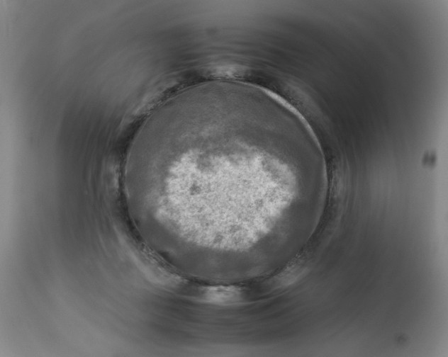 X0000112730363200909101457