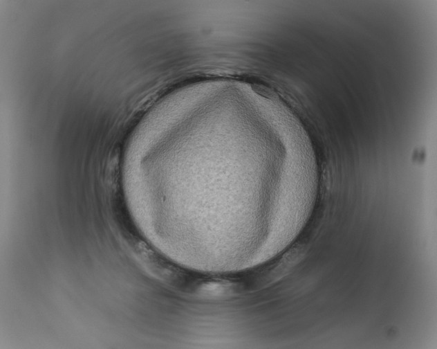 X0000112730364200909101457