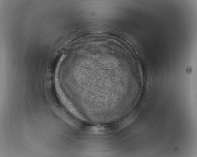 X0000112730366200909101457