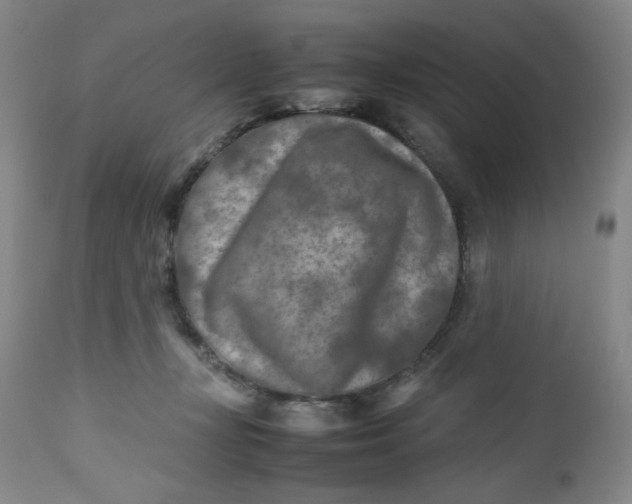 X0000112730367200909101457