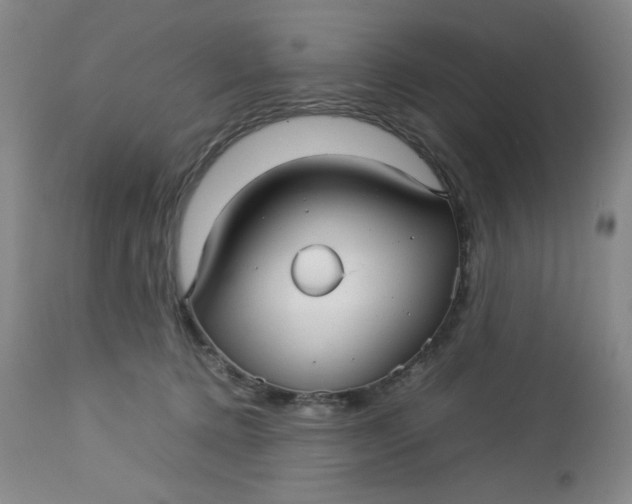 X0000112730368200909101458