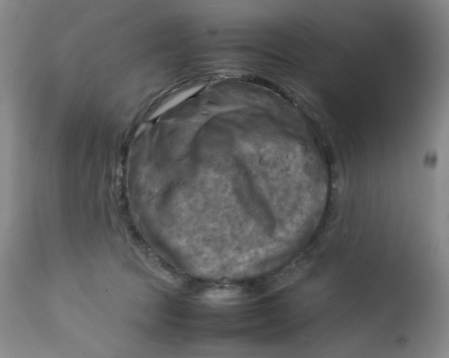 X0000112730369200909101458