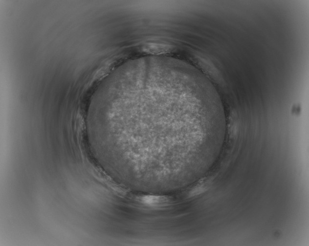 X0000112730371200909101458