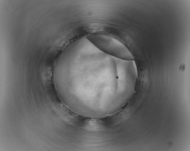 X0000112730372200909101458