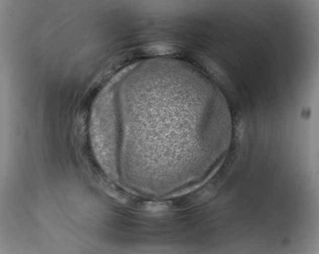 X0000112730373200909101458