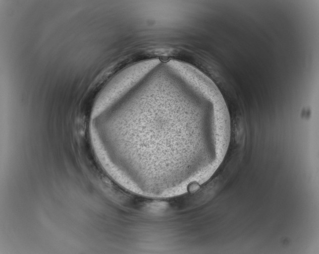 X0000112730374200909101458