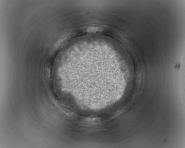 X0000112730375200909101458