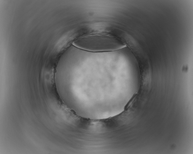 X0000112730376200909101458