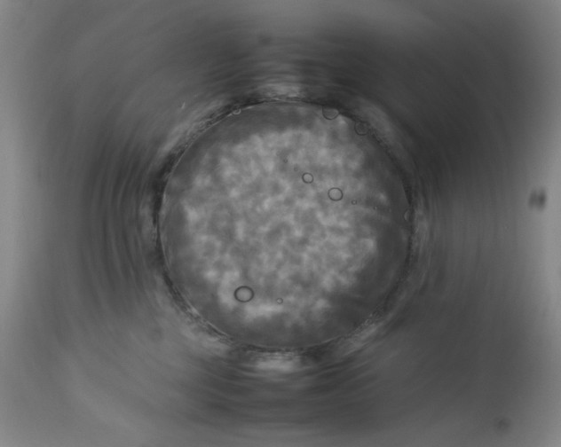 X0000112730377200909101458