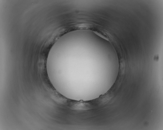 X0000112730379200909101458