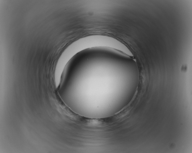 X0000112730380200909101458