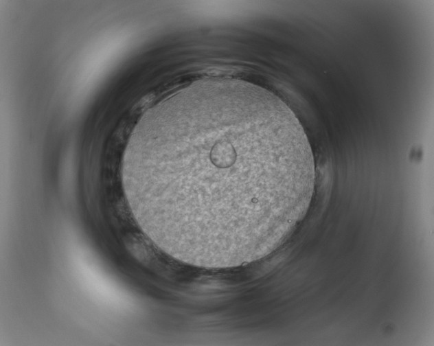 X0000112730381200909101458