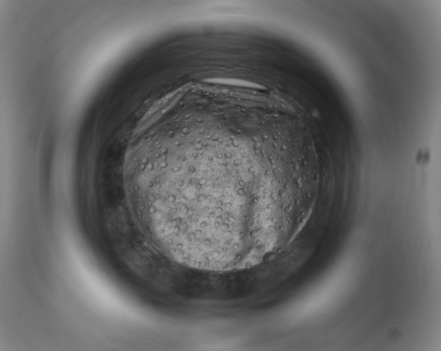 X0000112730383200909101458