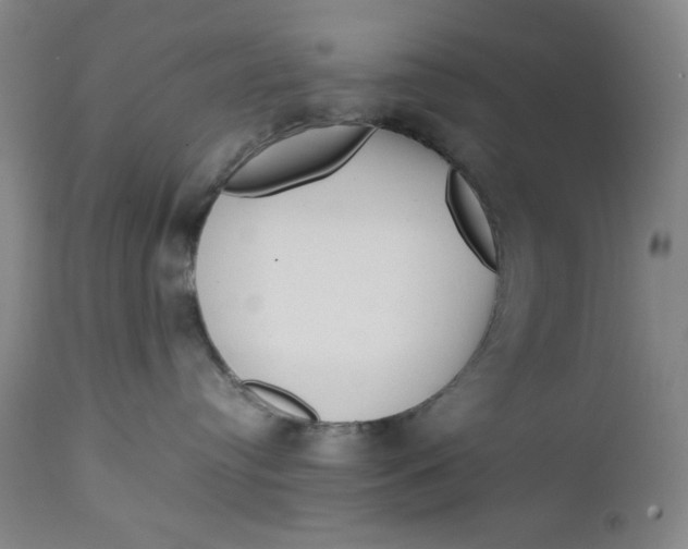 X0000112730384200909101458