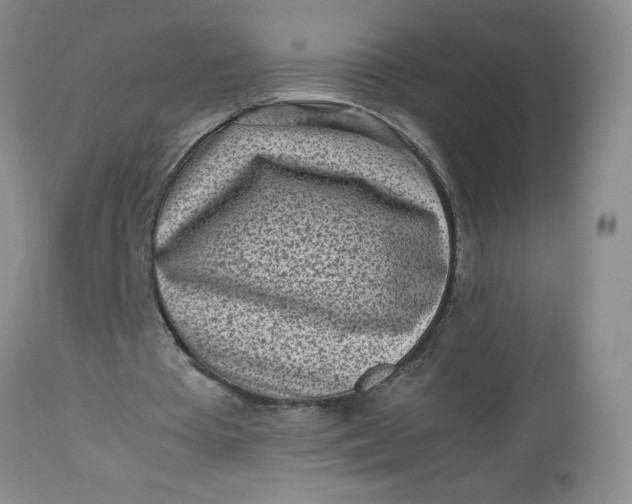 X0000112730385200909101457