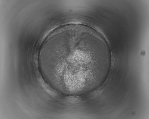 X0000112730386200909101457