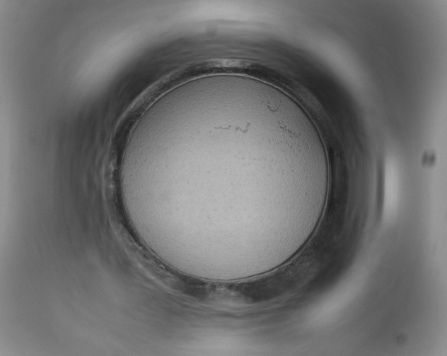 X0000112730387200909101457