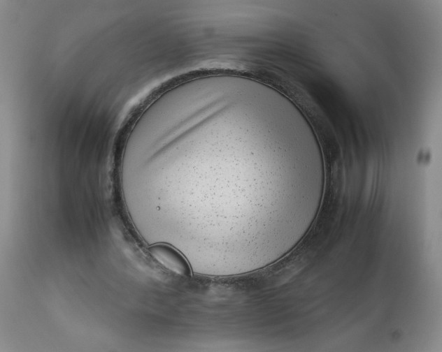 X0000112730388200909101457