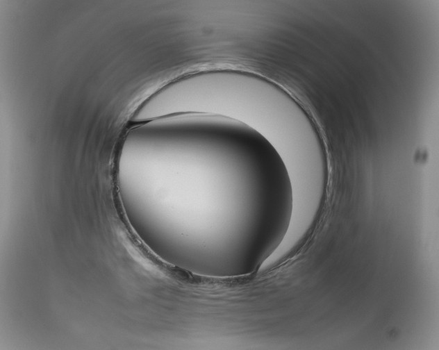 X0000112730389200909101457