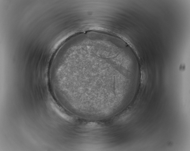 X0000112730390200909101457