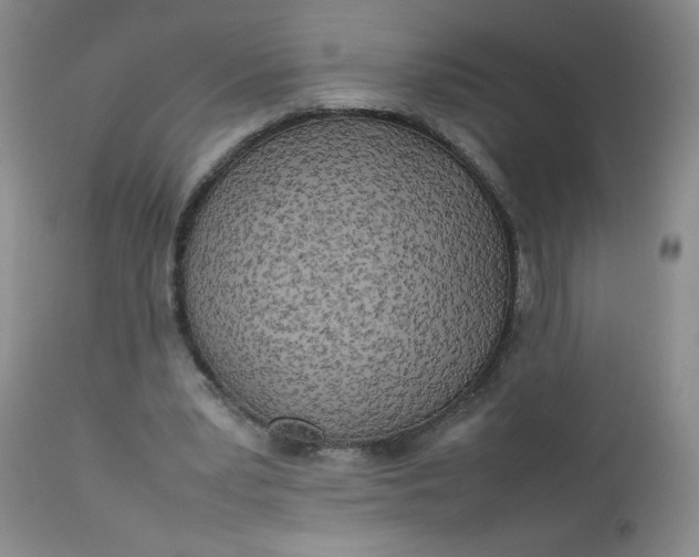 X0000112730391200909101457