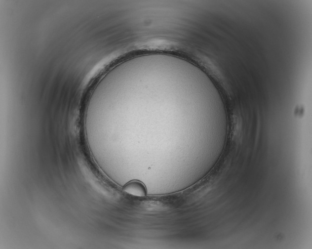 X0000112730392200909101457