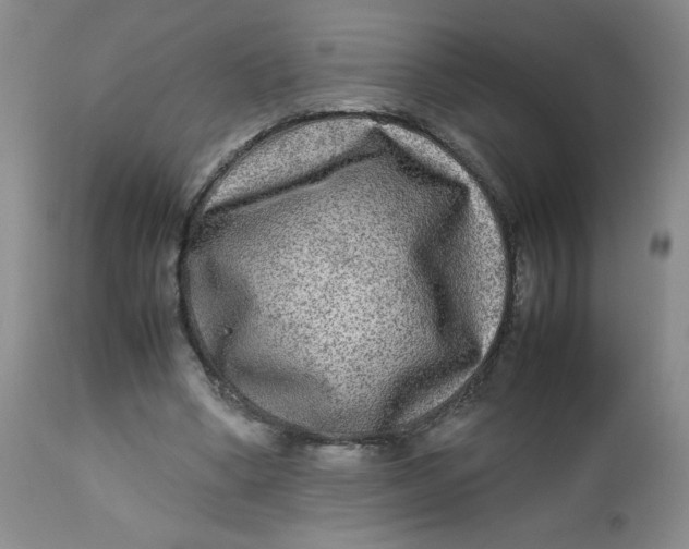 X0000112730394200909101457