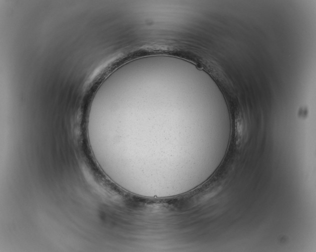 X0000112730396200909101457