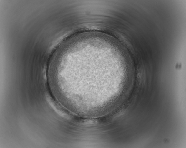 X0000112730398200909101457