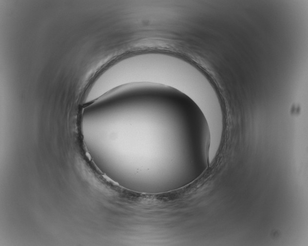 X0000112730399200909101457