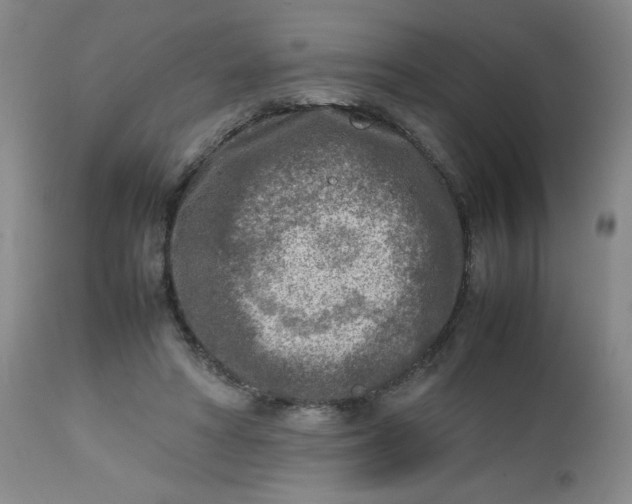 X0000112730402200909101457