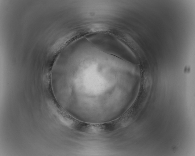 X0000112730405200909101457