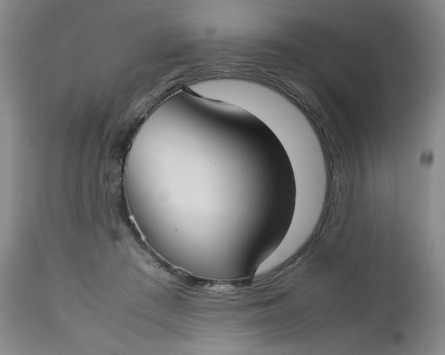 X0000112730409200909101457