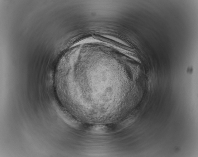 X0000112730410200909101457