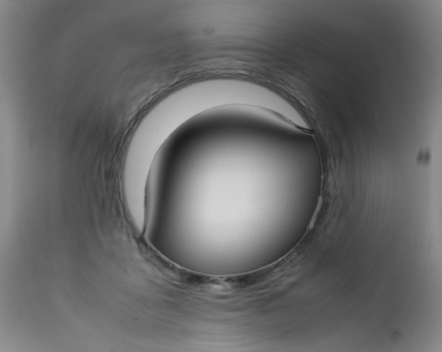 X0000112730411200909101457