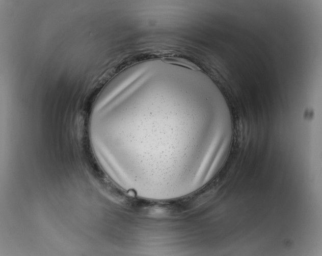 X0000112730412200909101457