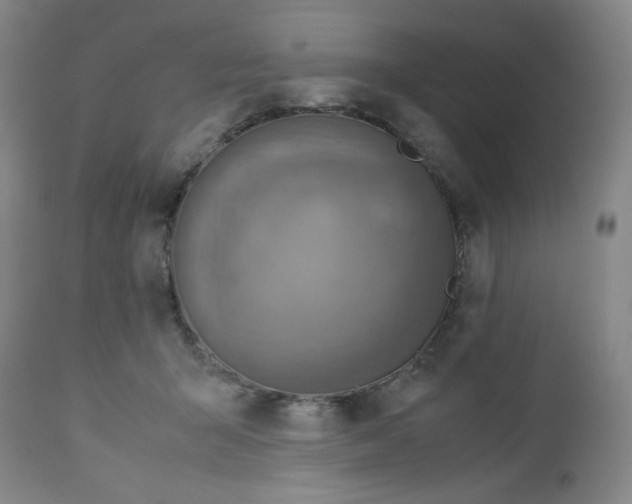 X0000112730415200909101457