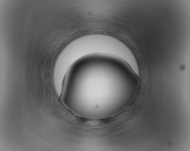 X0000112730417200909101456