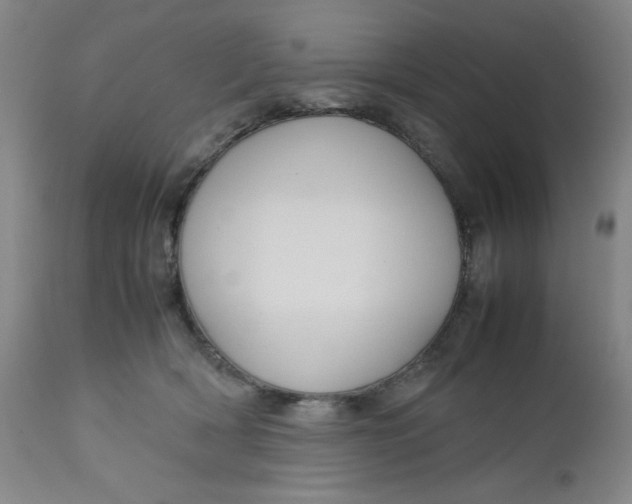 X0000112730418200909101456