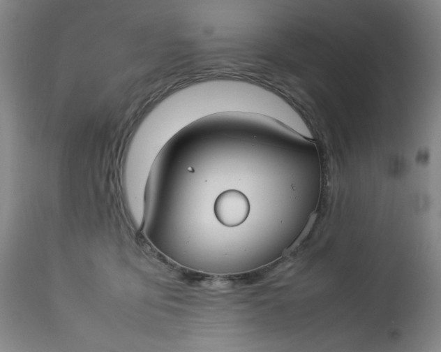 X0000112730419200909101456