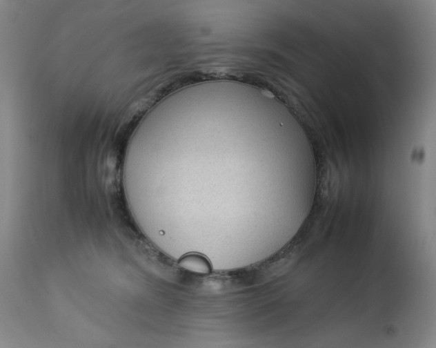 X0000112730420200909101456