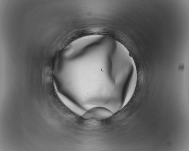 X0000112730421200909101456