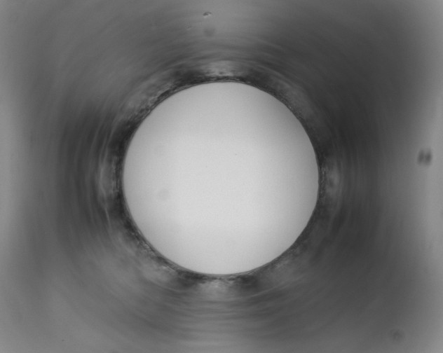 X0000112730422200909101456