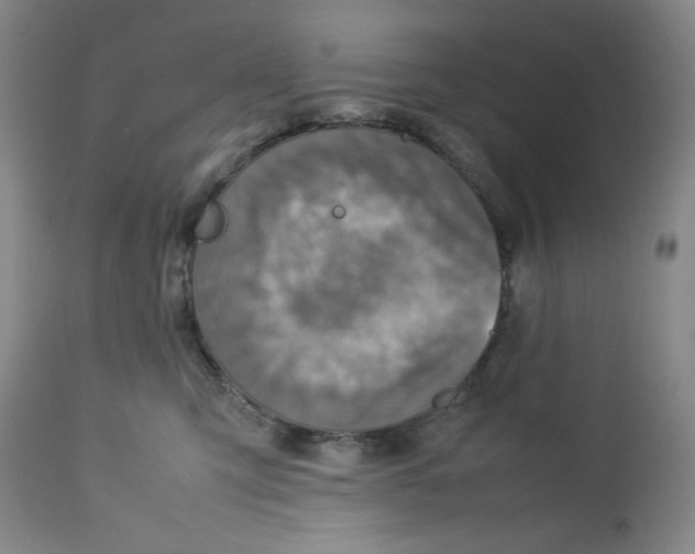 X0000112730423200909101456