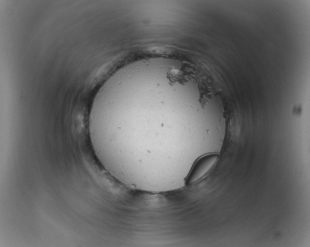 X0000112730424200909101456